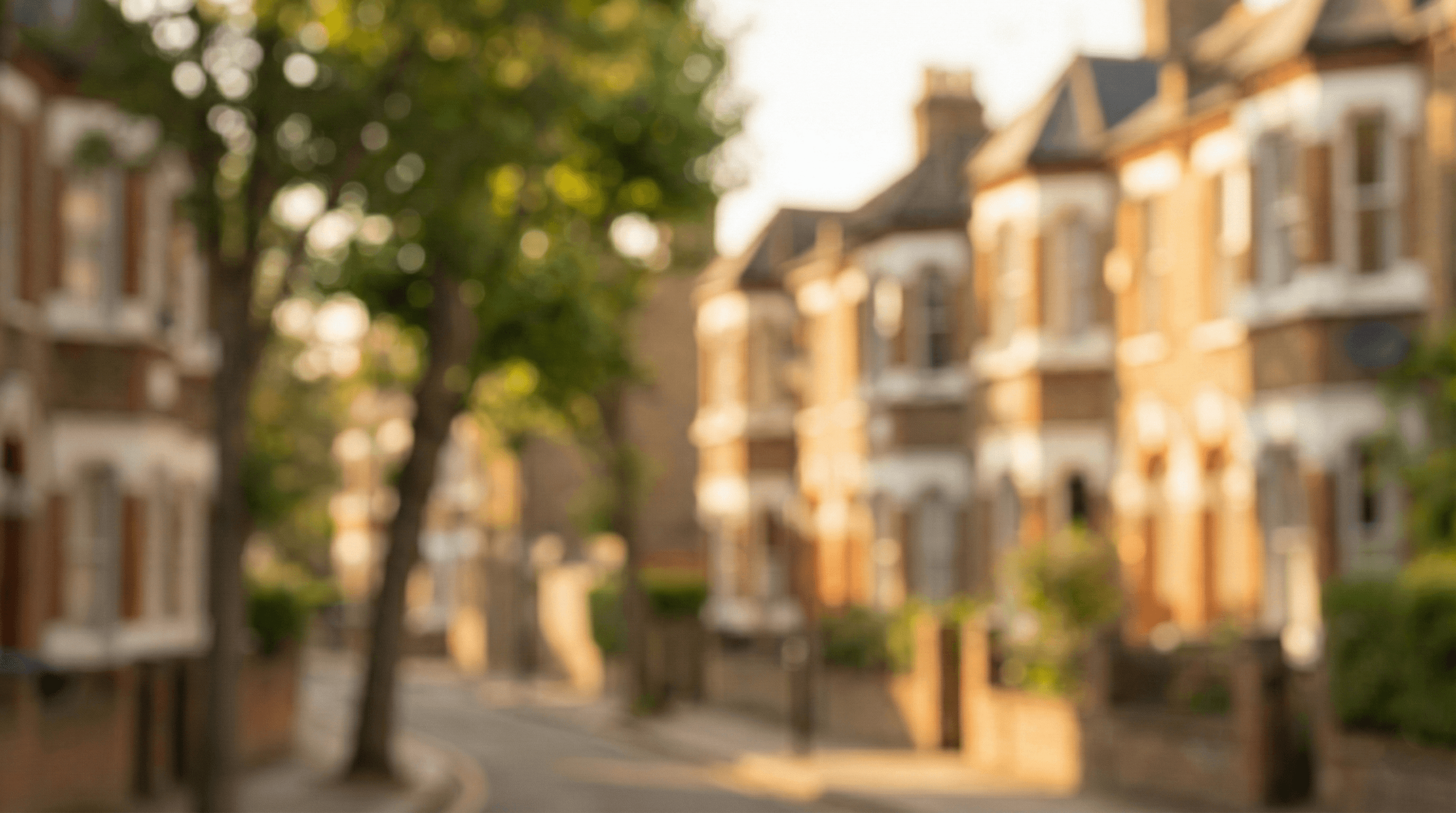 Professional cleaning in Hampstead NW3